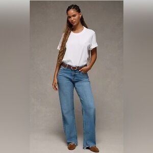 American Eagle Strigid Curvey Stovepipe Jean 4R